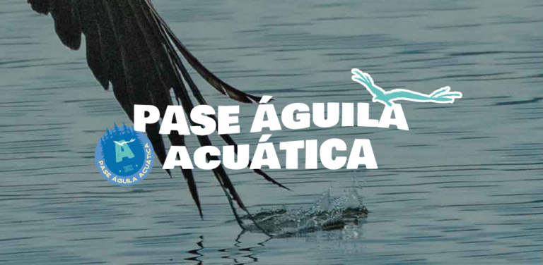 ACUÁTICA copy